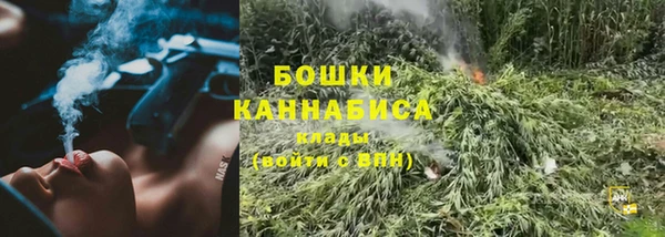 мдпв Вязьма